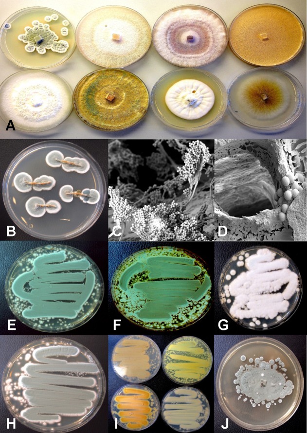 Figure 14