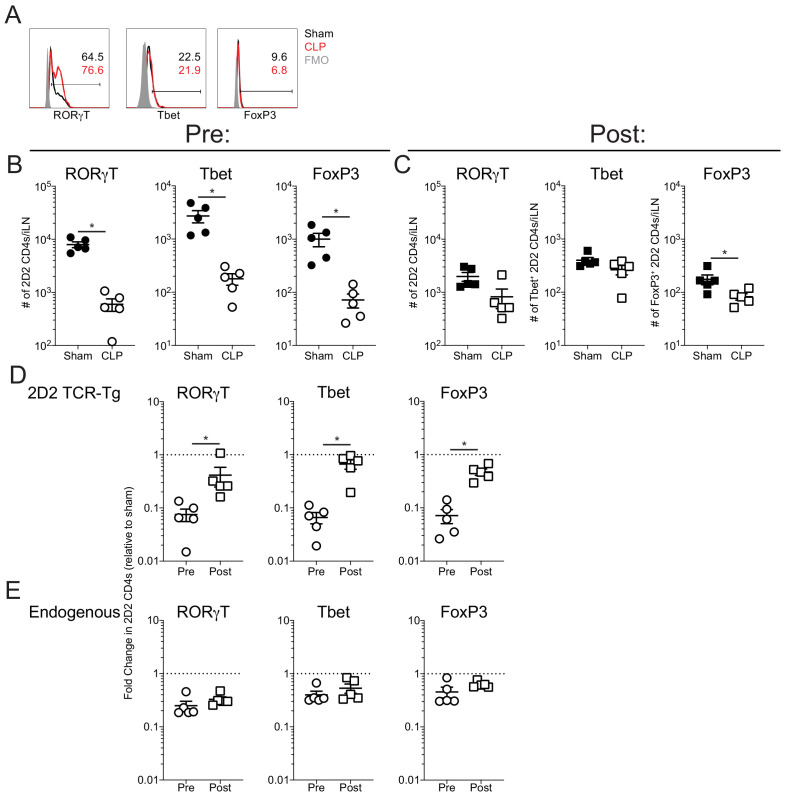 Figure 6—figure supplement 2.