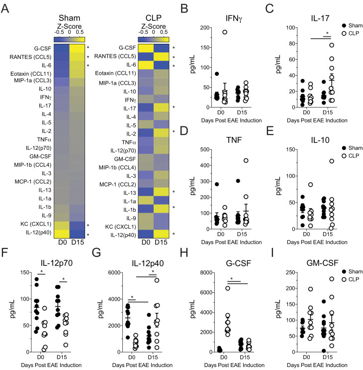 Figure 1—figure supplement 2.