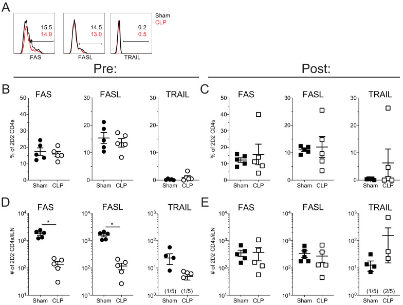 Figure 6—figure supplement 1.