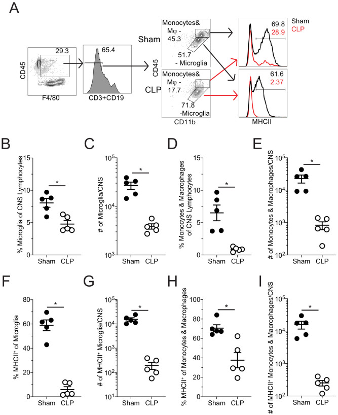 Figure 1—figure supplement 3.