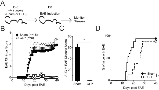 Figure 1—figure supplement 1.