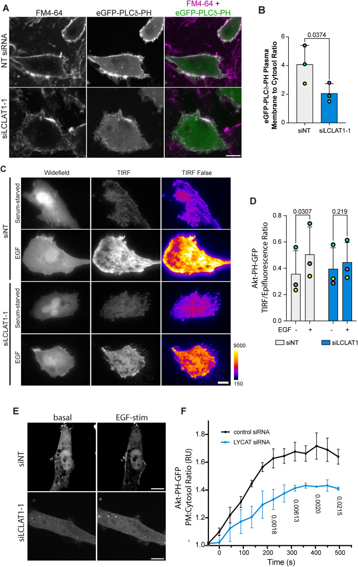 FIGURE 3: