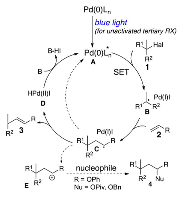 Scheme 5