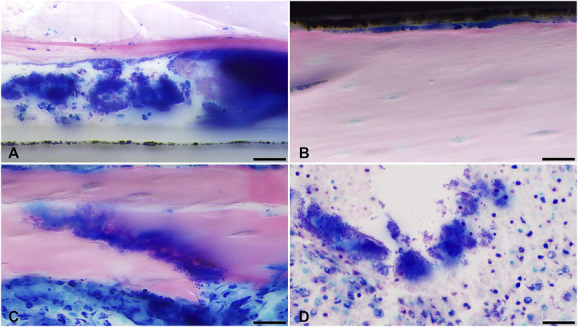 Fig. 8