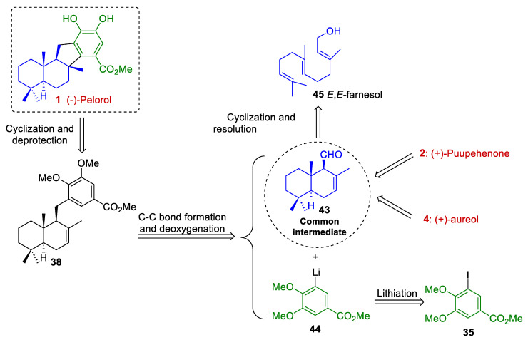 Scheme 8