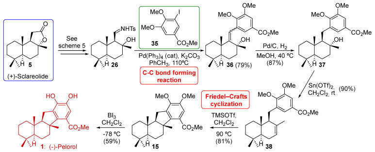 Scheme 6