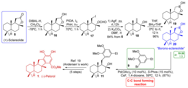 Scheme 3