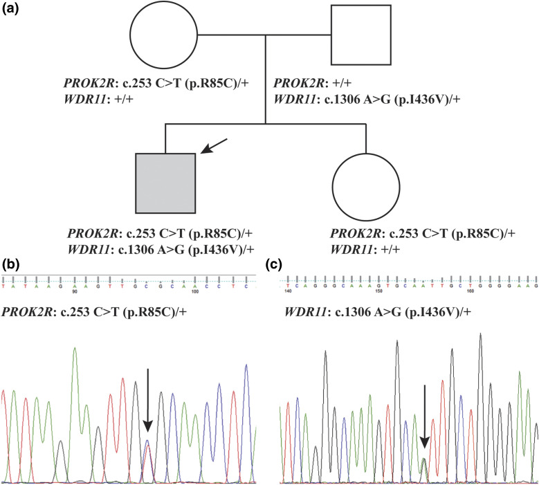 Figure 1.