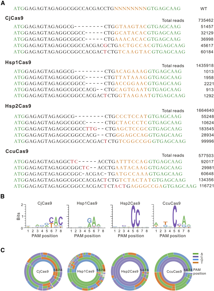 Figure 2