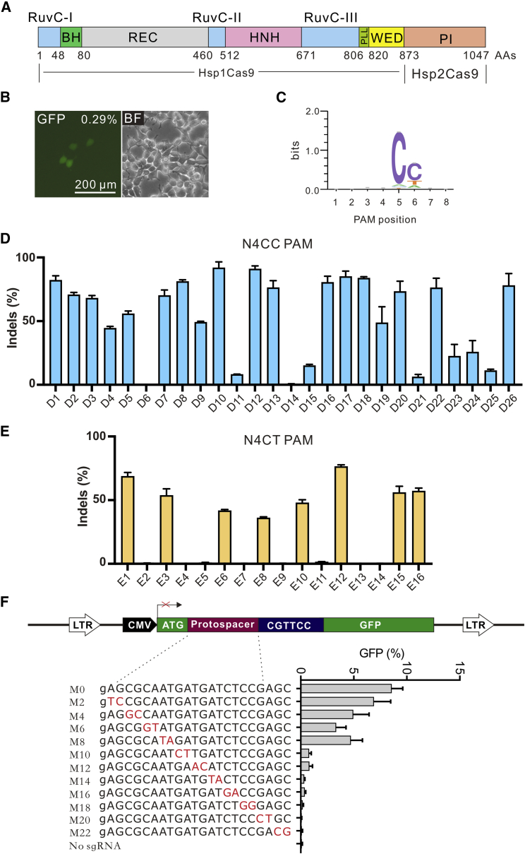 Figure 4