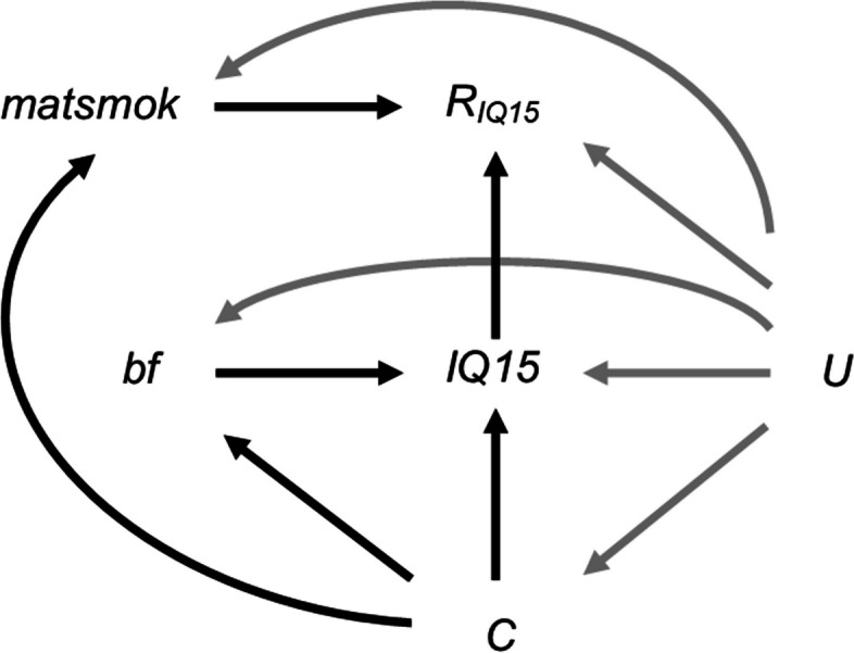 Fig. 8