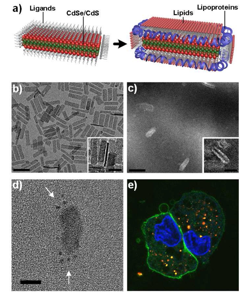 Fig. 9