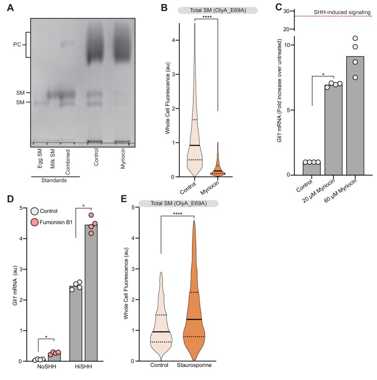 Figure 3—figure supplement 1.