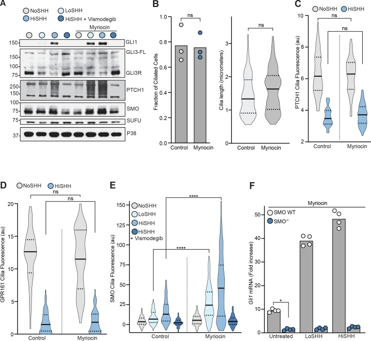 Figure 4—figure supplement 1.