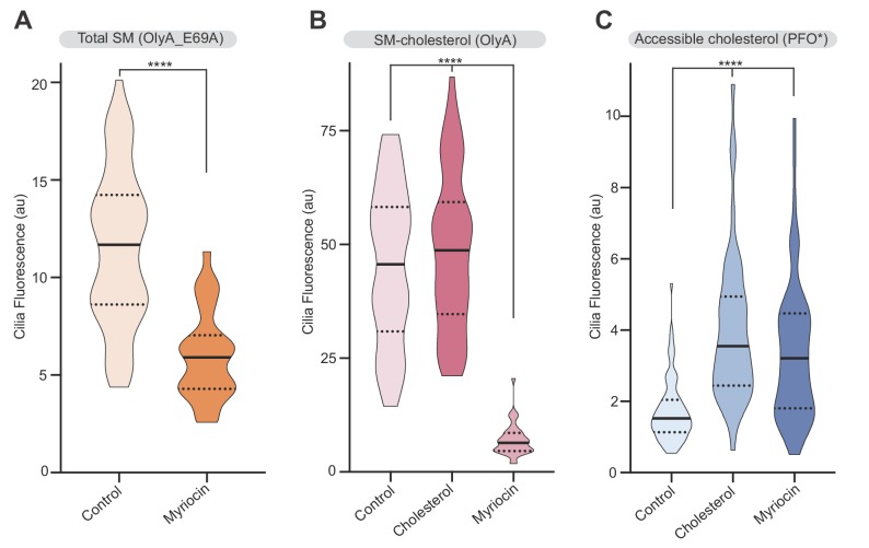 Figure 7—figure supplement 1.