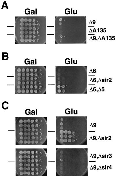 FIG. 5