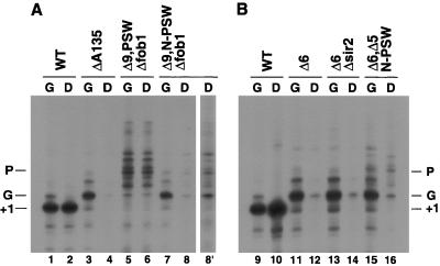 FIG. 8