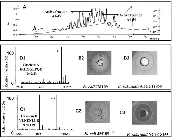 FIG. 1.