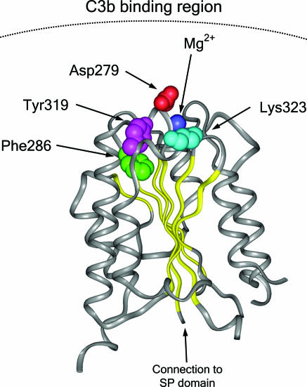 Fig. 2.