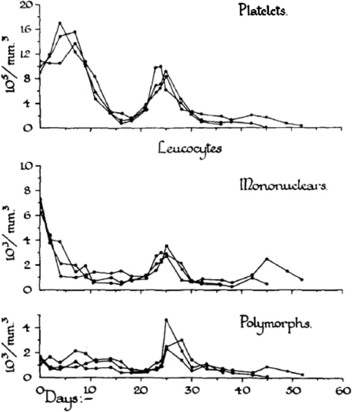 FIGURE 2C