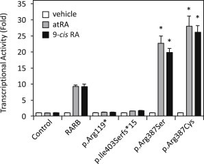 Figure 3