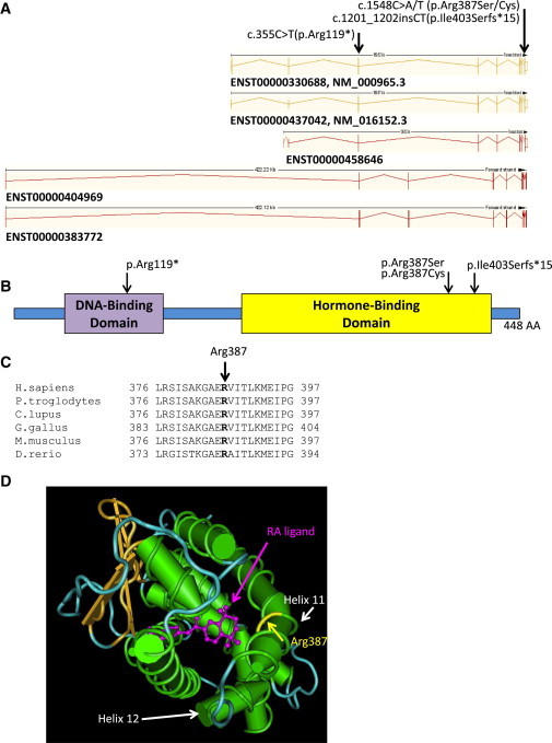 Figure 2