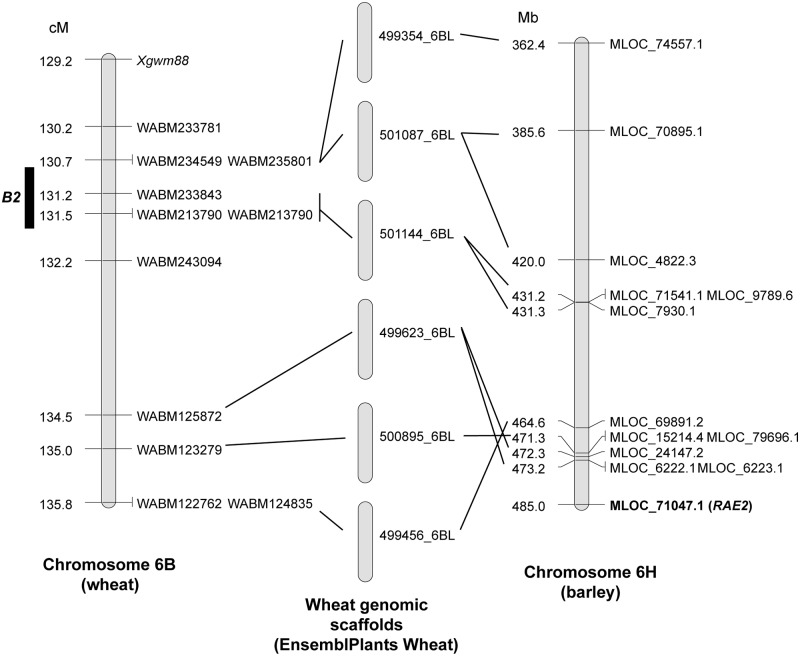 Fig 5