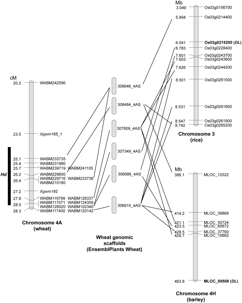 Fig 4