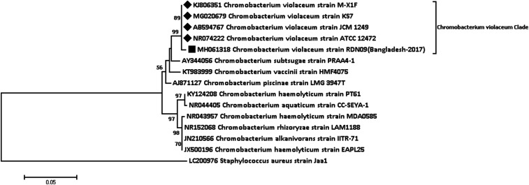 Figure 2.