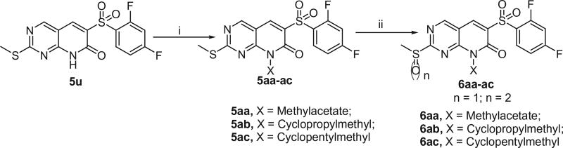 Scheme 2