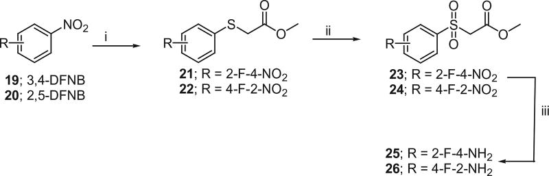 Scheme 8