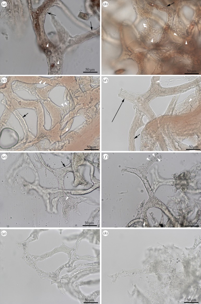 Figure 4.