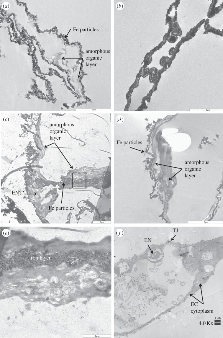 Figure 1.