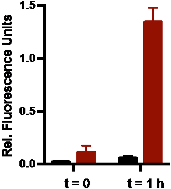 Fig 4.