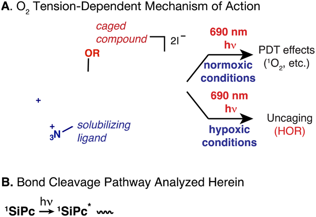 Fig 1.