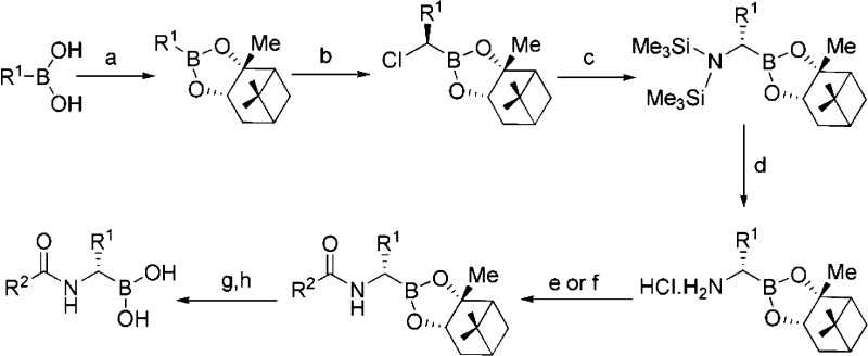 Scheme 1