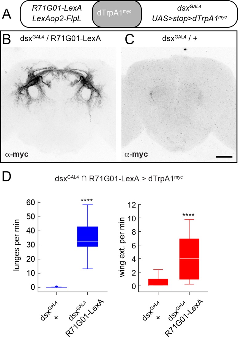 Figure 1—figure supplement 3.