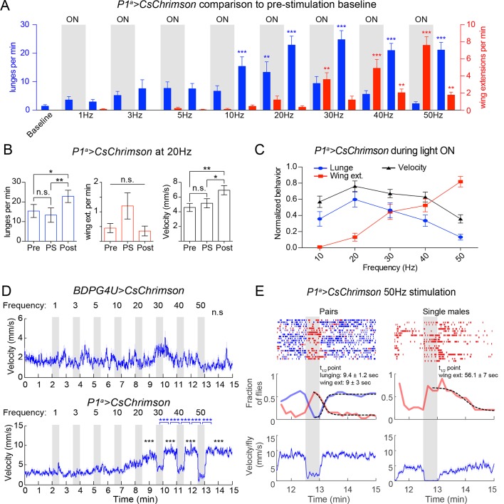 Figure 3—figure supplement 2.