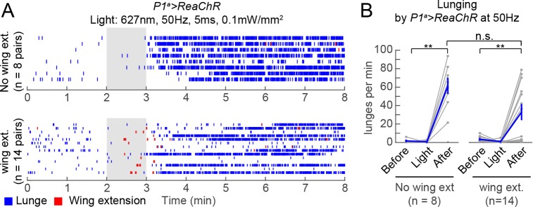 Figure 4—figure supplement 1.