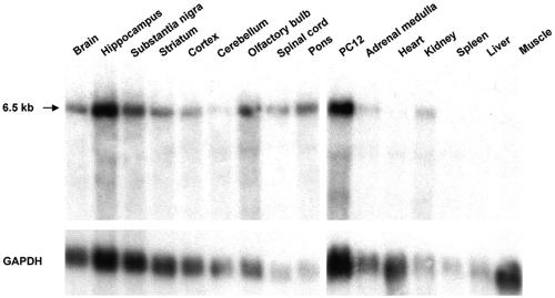 FIG. 6.