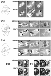 FIG. 9.