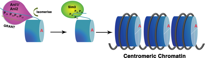 Figure 7.