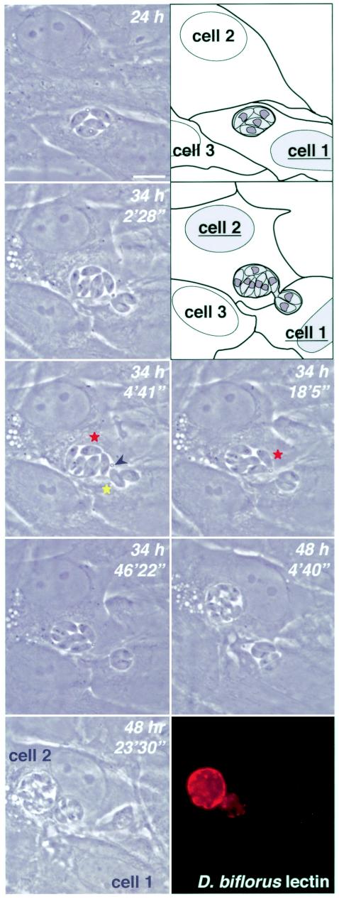 FIG. 8.