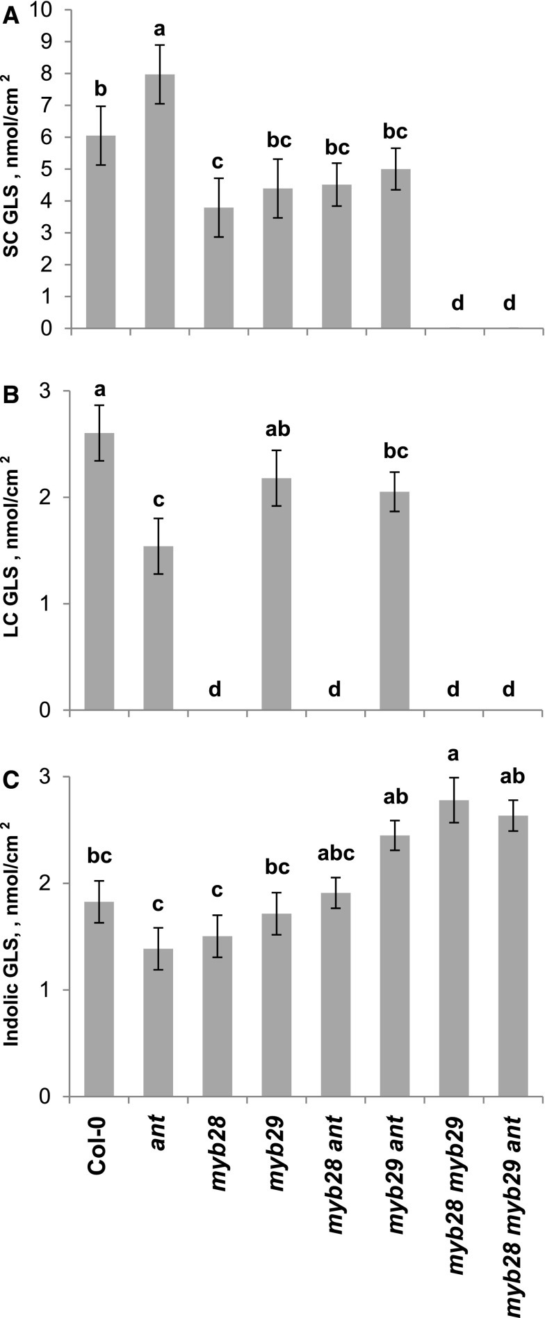 Figure 7.