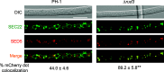 FIG 6
