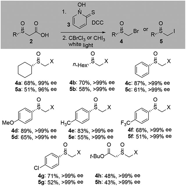 Scheme 2.