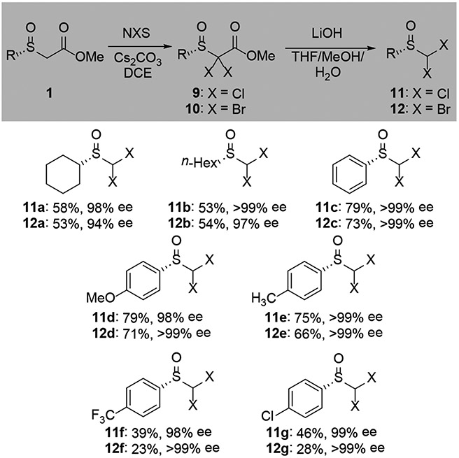 Scheme 3.