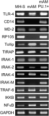 <b>Figure 5.</b>