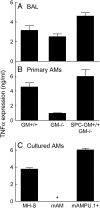 <b>Figure 2.</b>